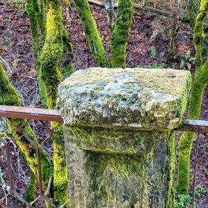 Meet your Posher, Greg